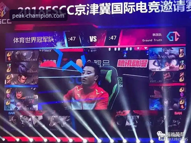 冠军娱乐平台新手选择指南：官网地址 vs 手机登录 vs 最新版本，哪个更适合你？